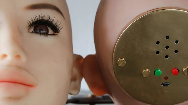 Visual published with the cited source for this record: Germany's telecom regulator declared a talking doll a spy device