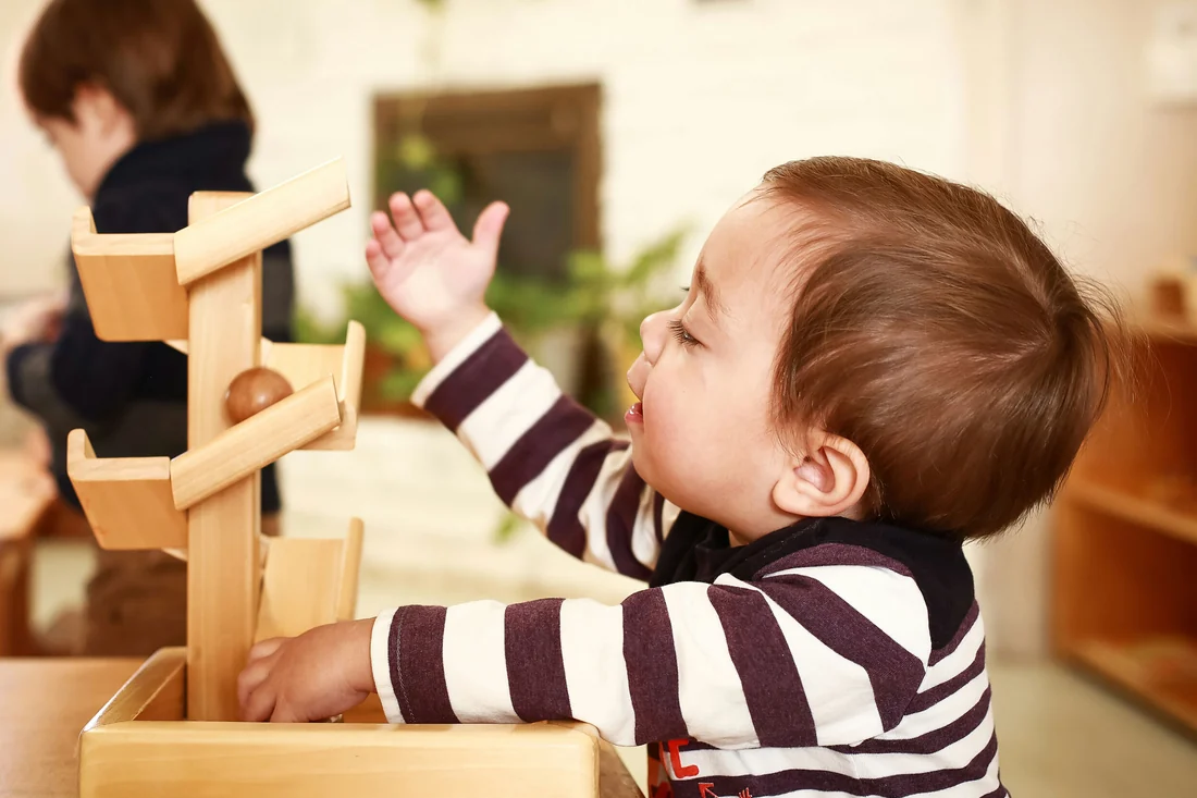 Visual published with the cited source for this record: AMI sequences Montessori materials by stage, not by birthday